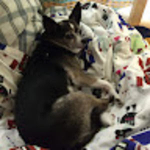 Meet your Posher, Patrick